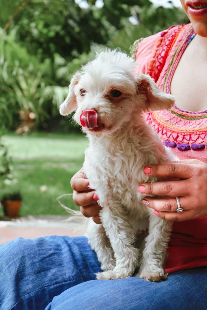 A woman holding a small white dog in her hand